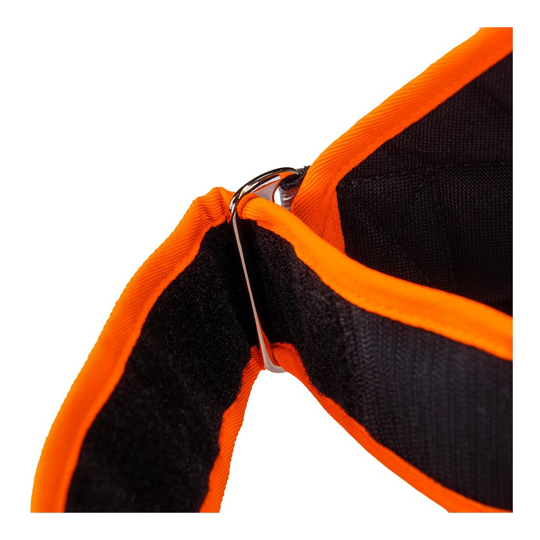 Hundeleuchtdecke Balou Profi  mit Led Lampen