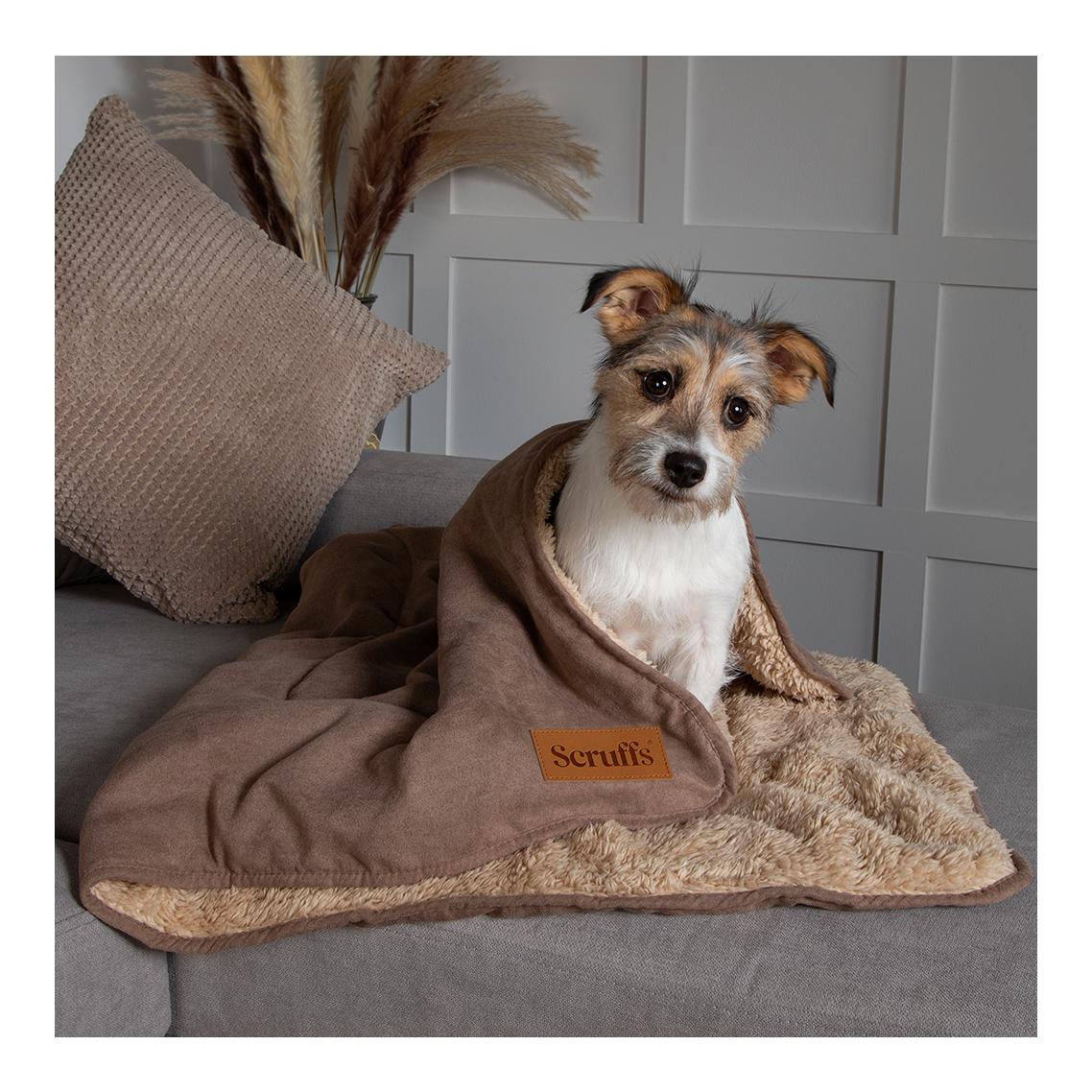 Kuscheldecke für Hunde