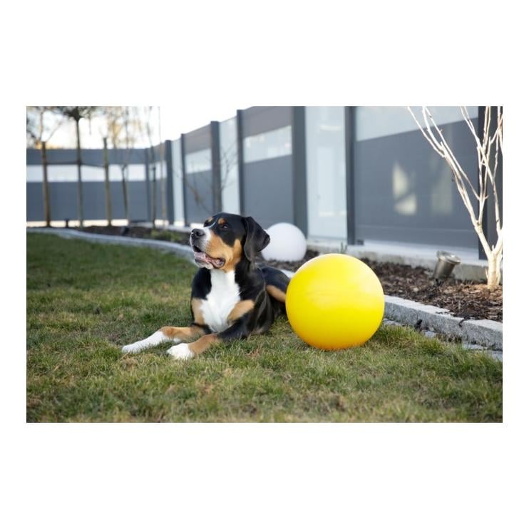 Hundespielball 30 cm