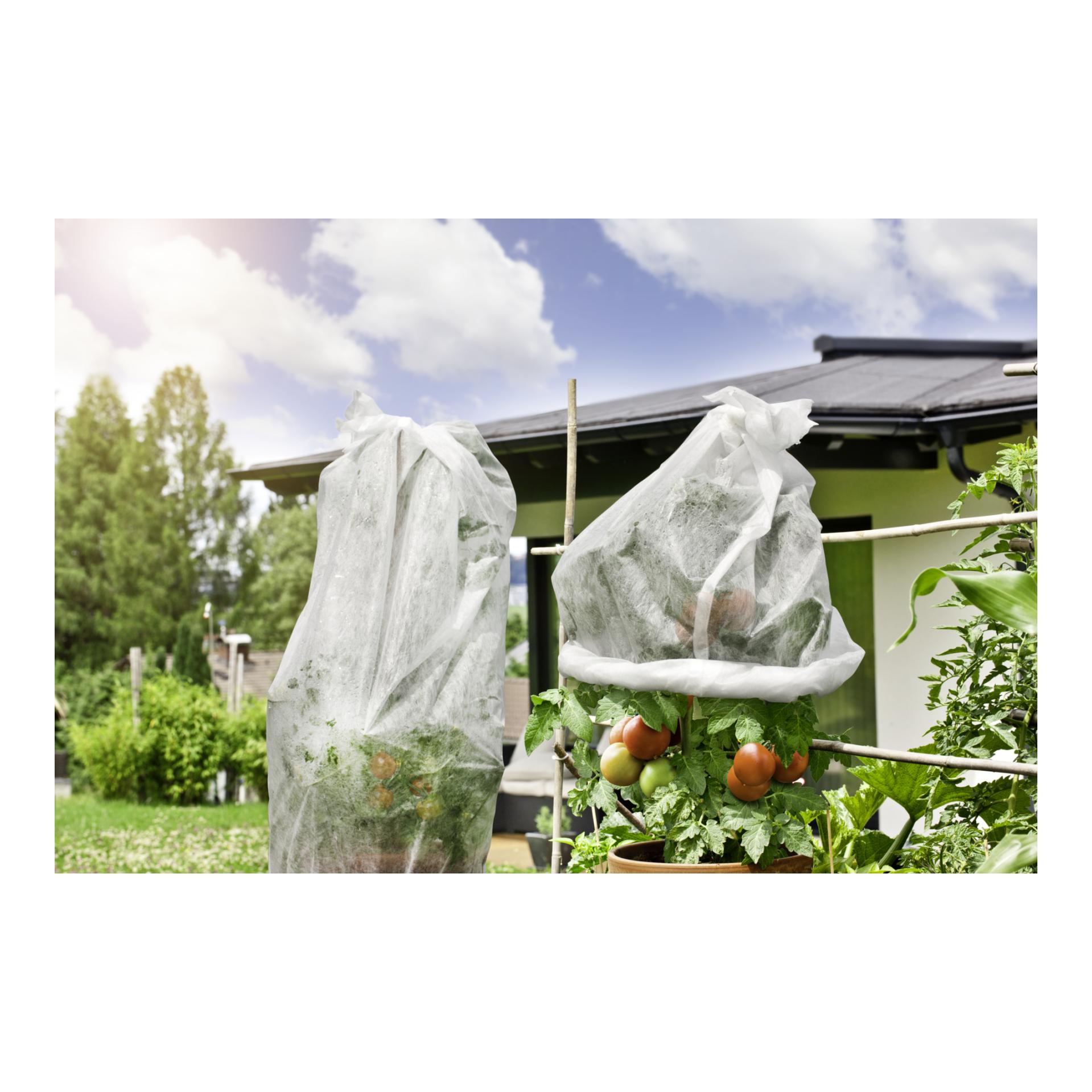 Tomaten-Vliesschlauch Greenline