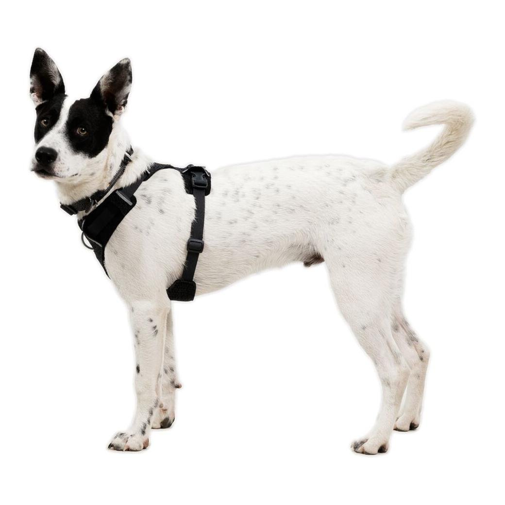 Ruffwear Front Range® Flex Hundegeschirr