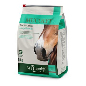 Mucolyt Atemwegskur