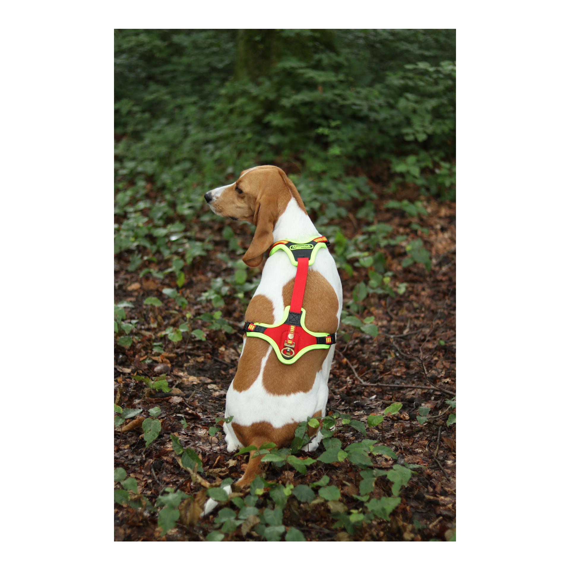 Hundeführgeschirr Follow Trail