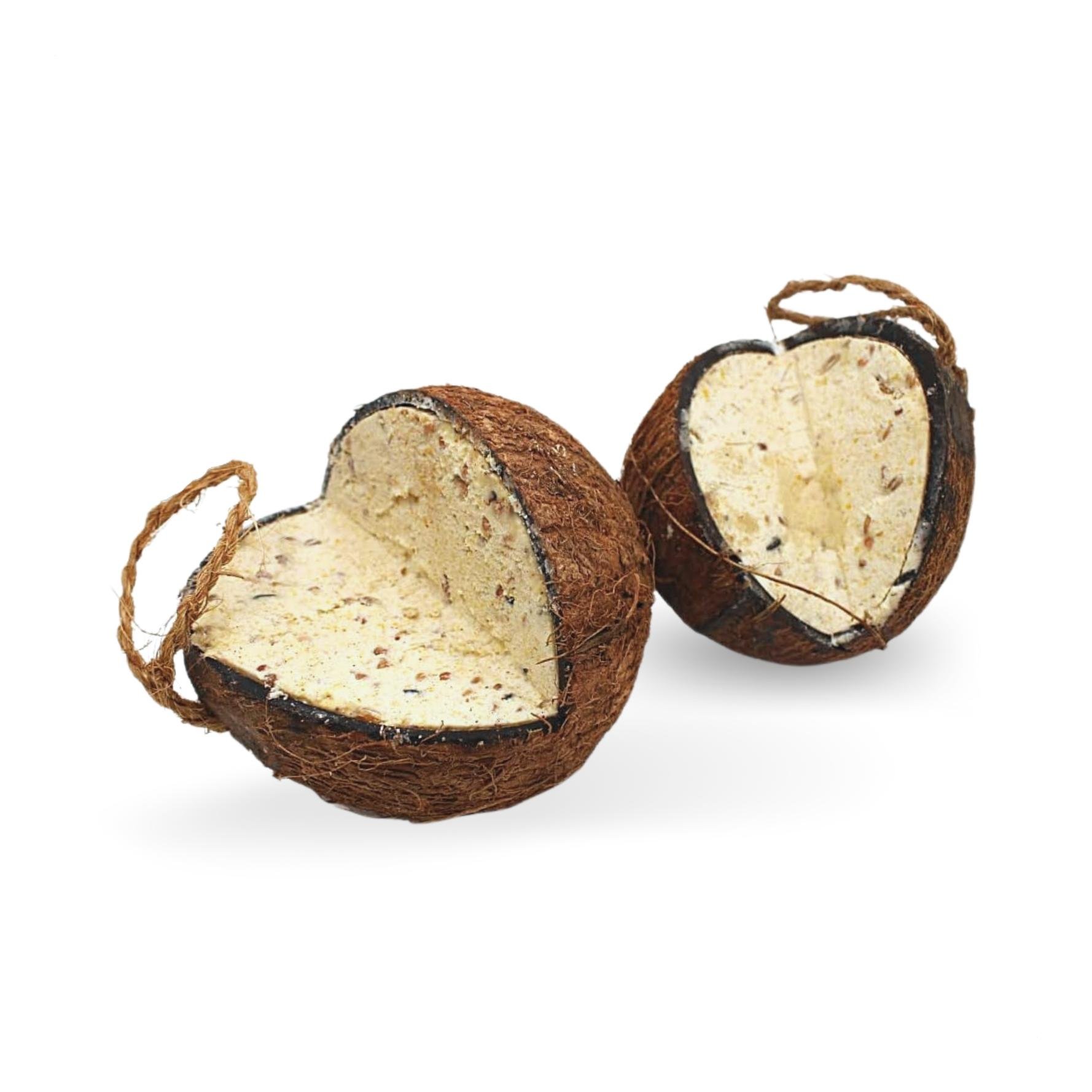 Ganze Kokosnuss V-Cut gefüllt