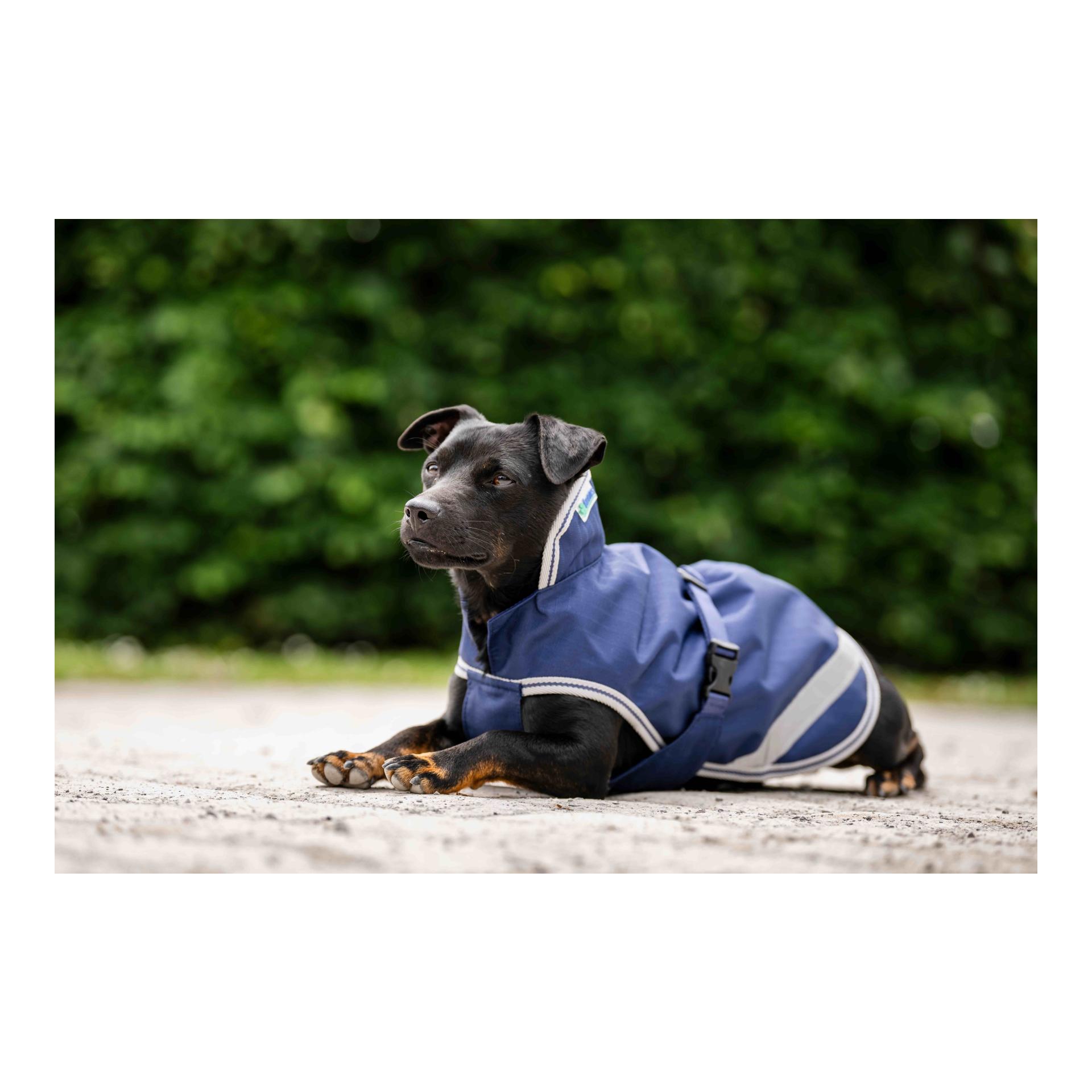Bucas Dog Rug 300g - bleu marine/argenté