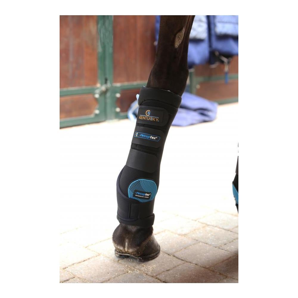 Stallgamaschen Magnet Recuptex,  Paar