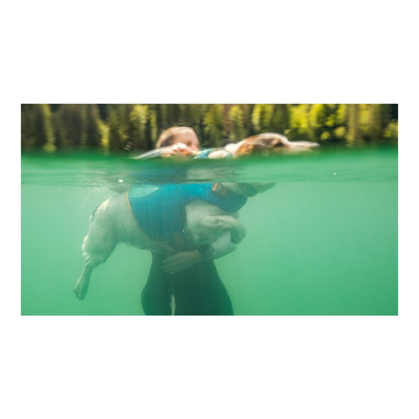 Gilet de sauvetage pour chiens Float Coat