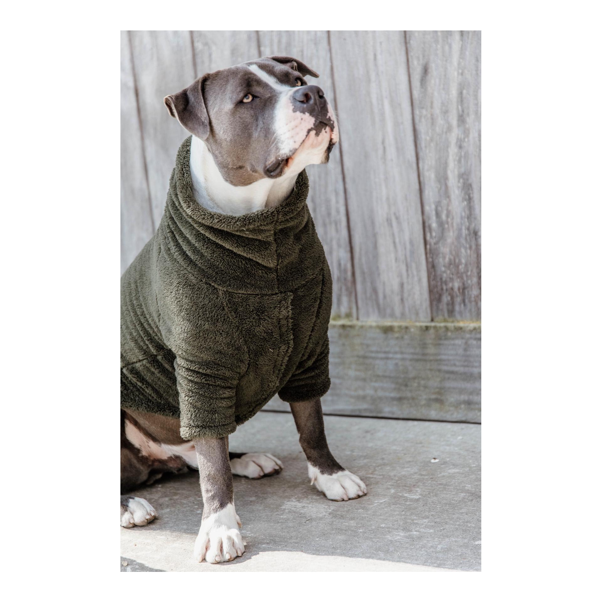 Hundepullover Teddy Fleece - Pine Green