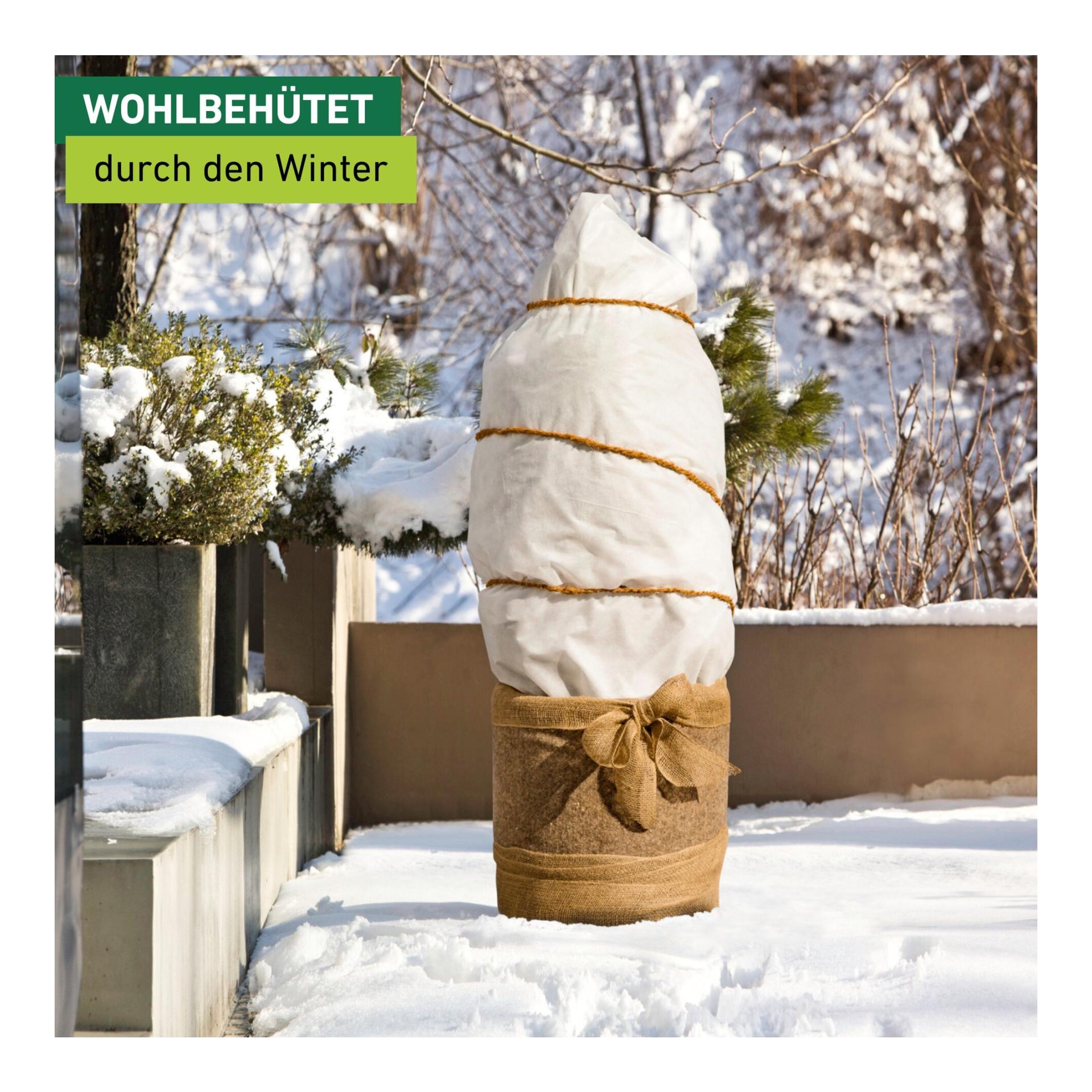 Non-tissé d'hiver SUPERPROTECT Greenline