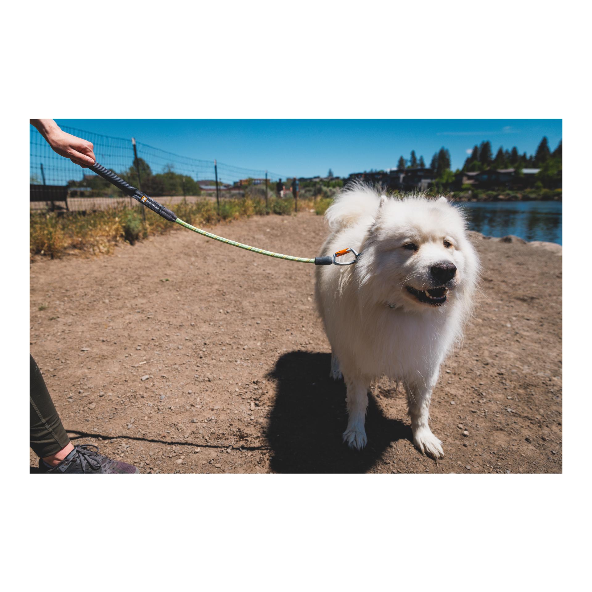 Knot-a-Long Leash Hundeleine