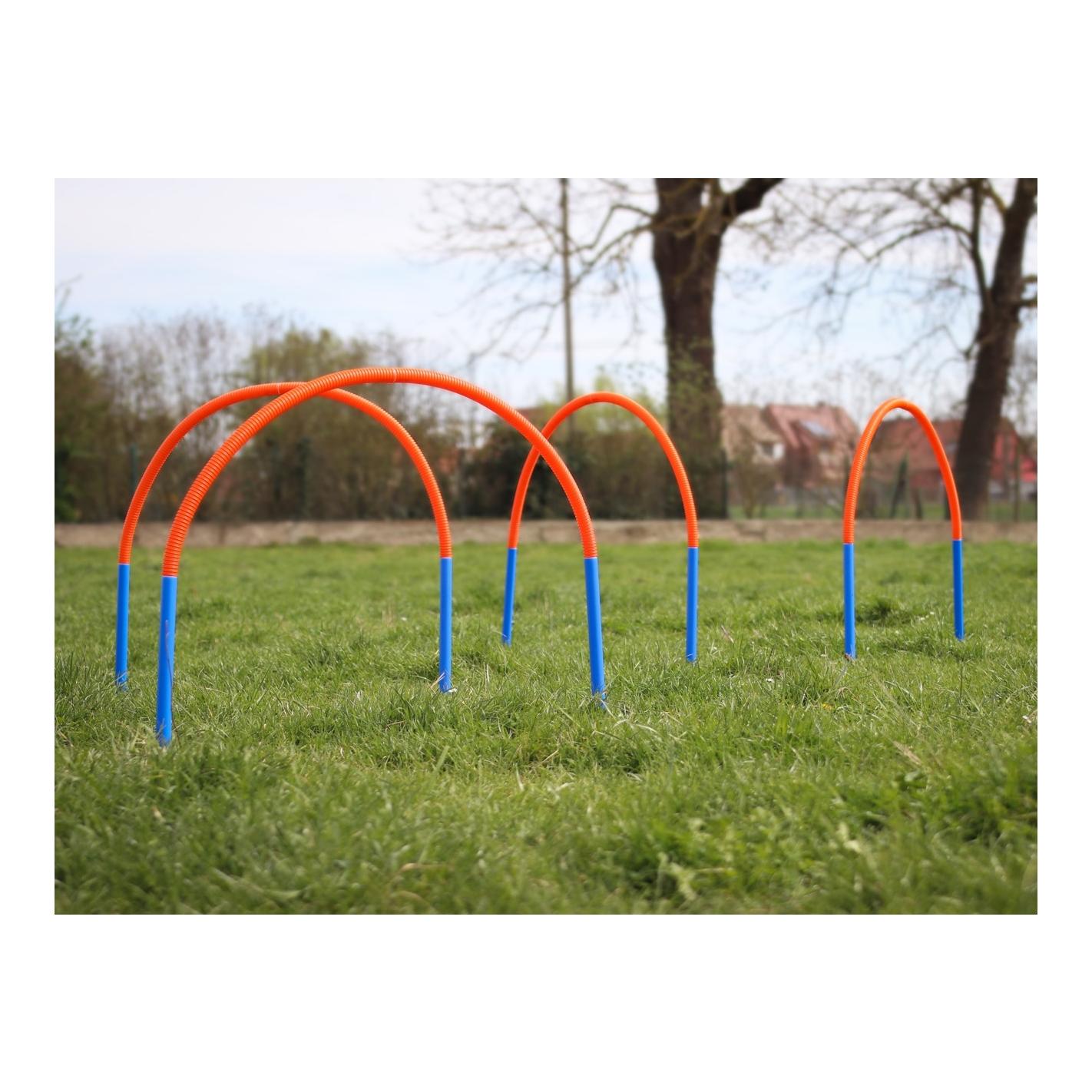 Starter Training Set für Hunde