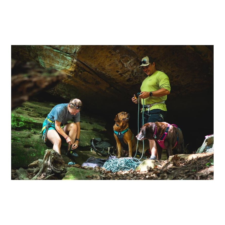 Flagline™ Hundegeschirr