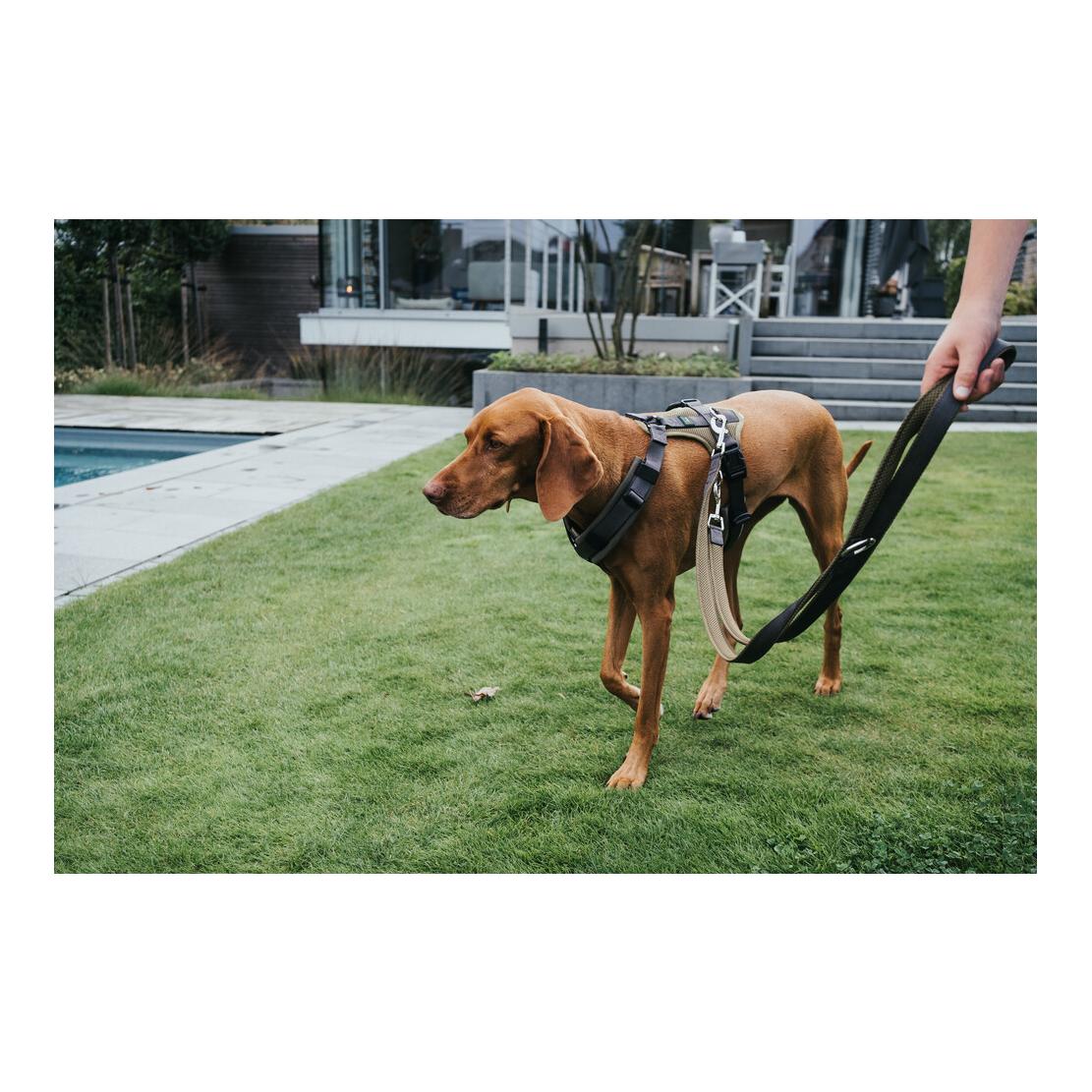 Verstellbare Leine Maldon - limette/grau