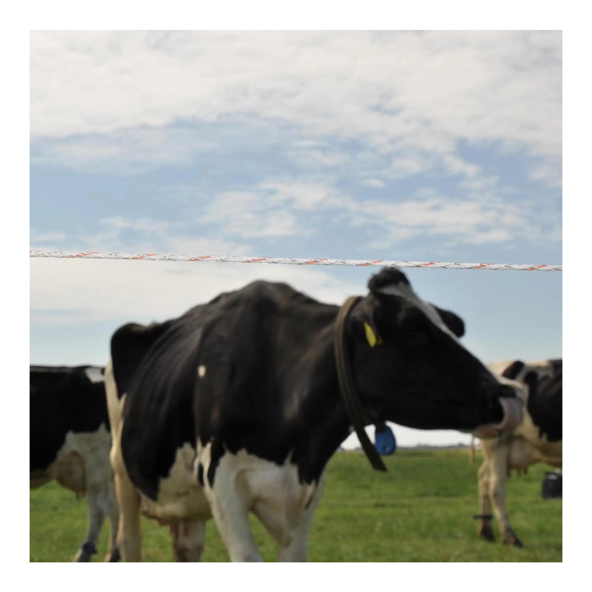 Gallagher Vidoflex 9 TurboLine