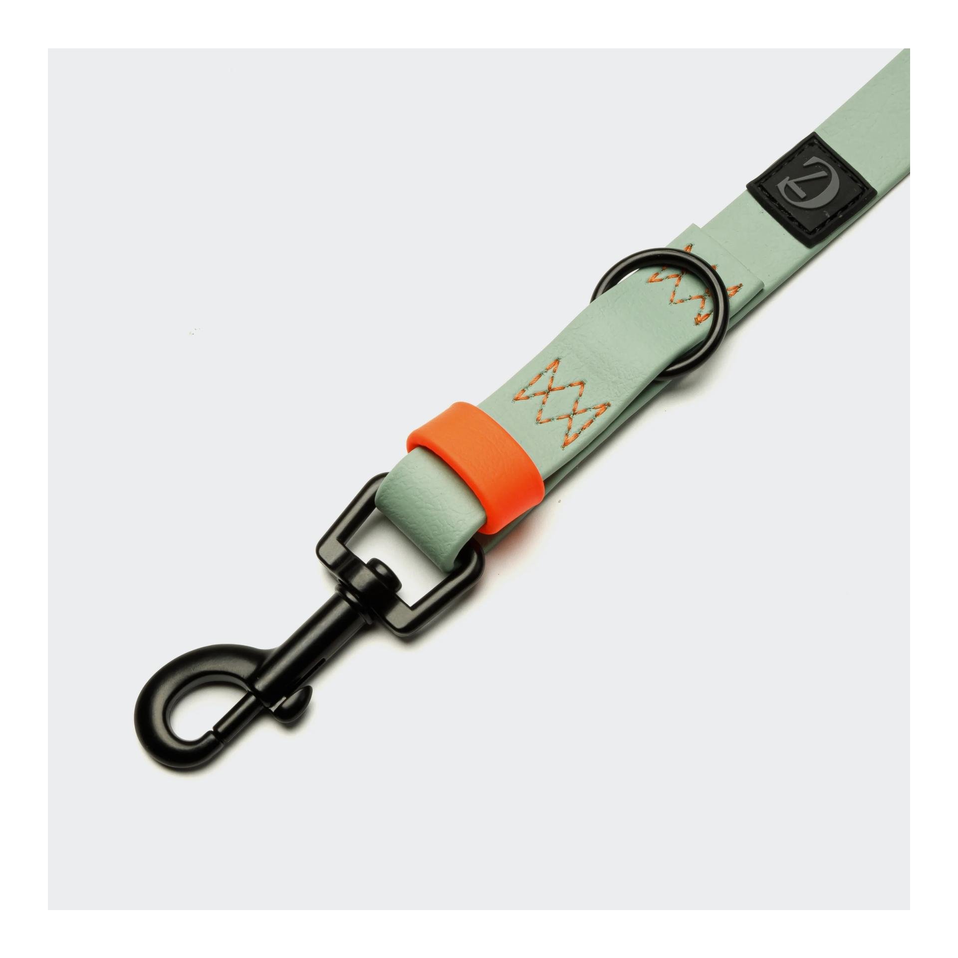 Cloud 7 Hundeleine verstellbar BioThane Ipanema