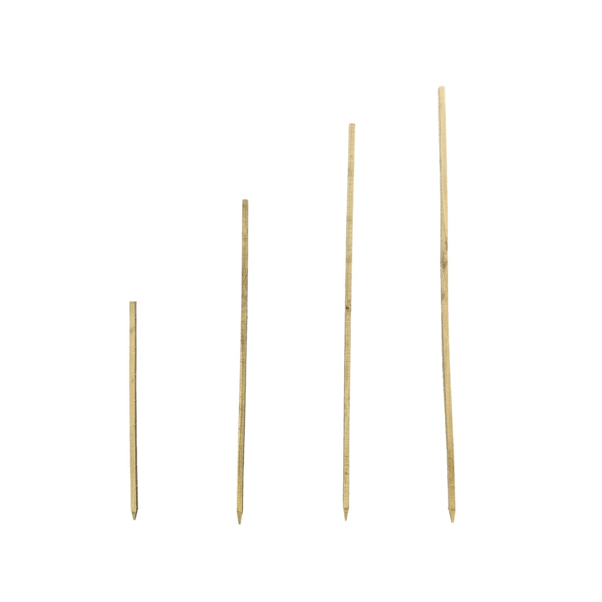 Robinien-Pflanzenstützpfahl