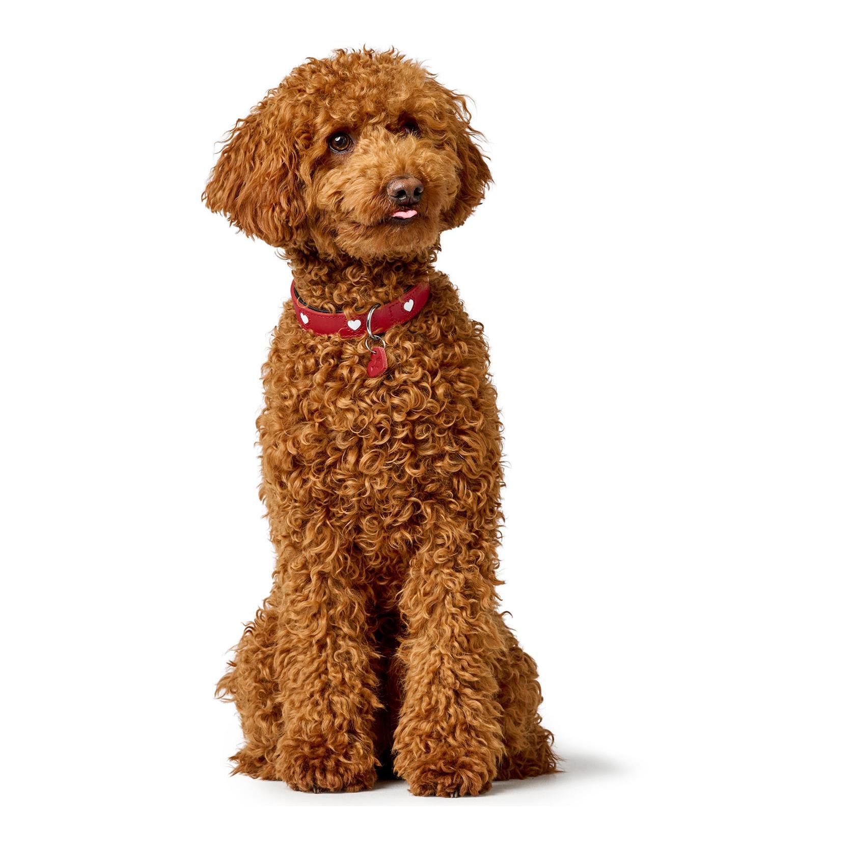 Hunter Halsband Love 