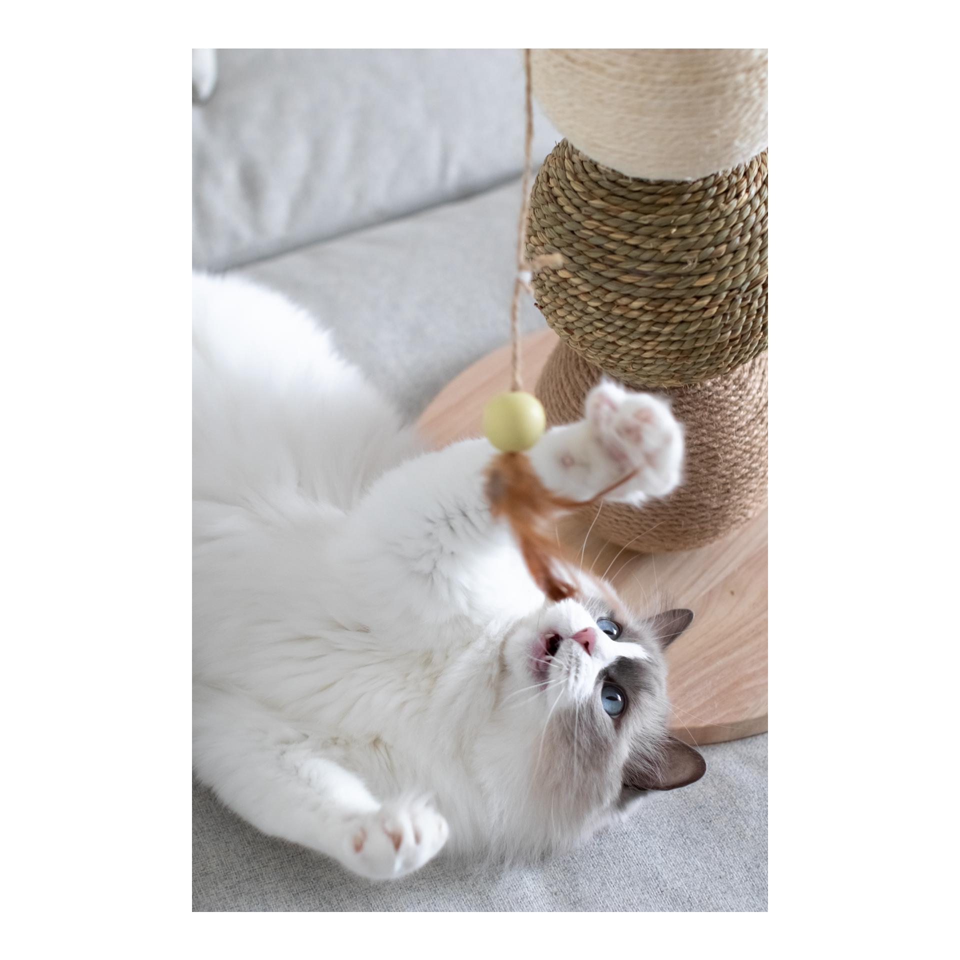 Holz-Kratzbälle Elio