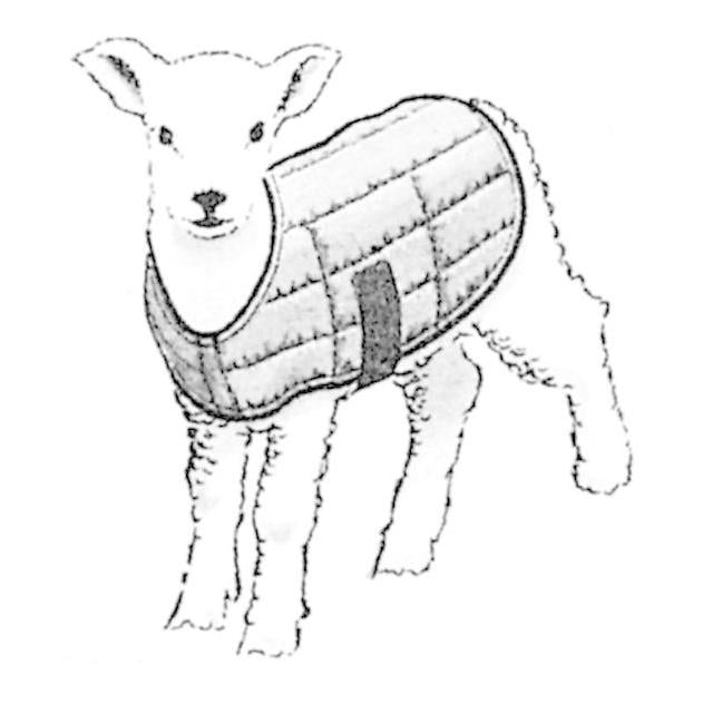 Thermodecke für Lämmer mit Velcro-Verschluss