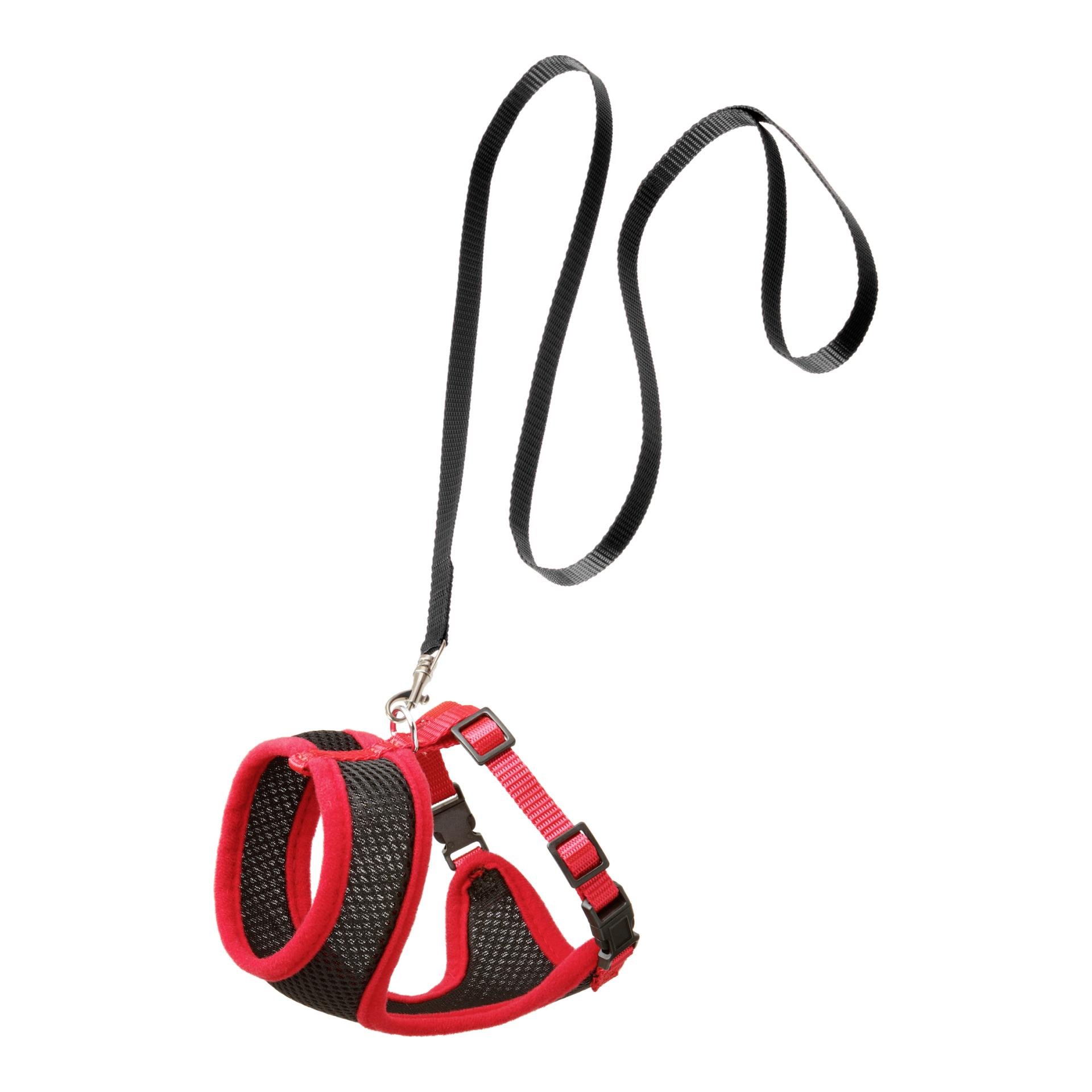 Katzen Geschirr mit Leine Harms