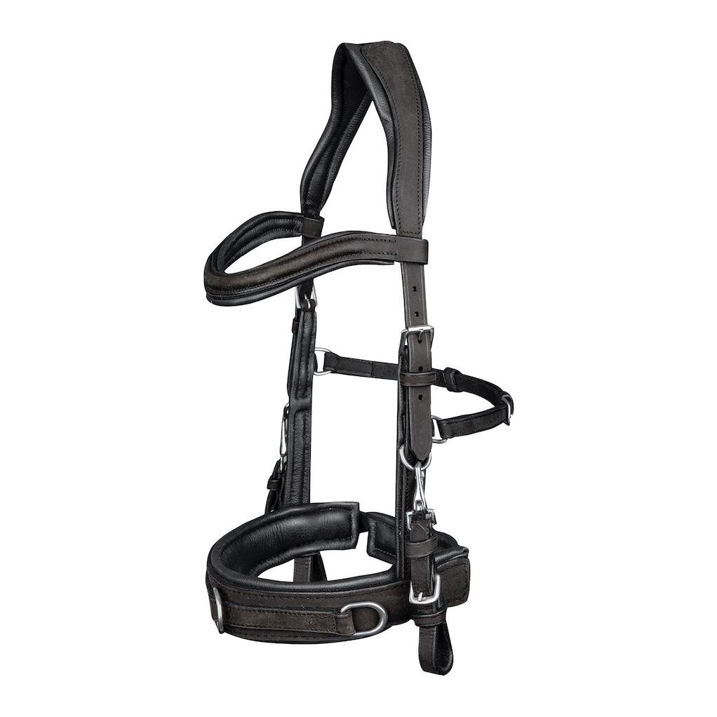 Lederkappzaum Anatomic