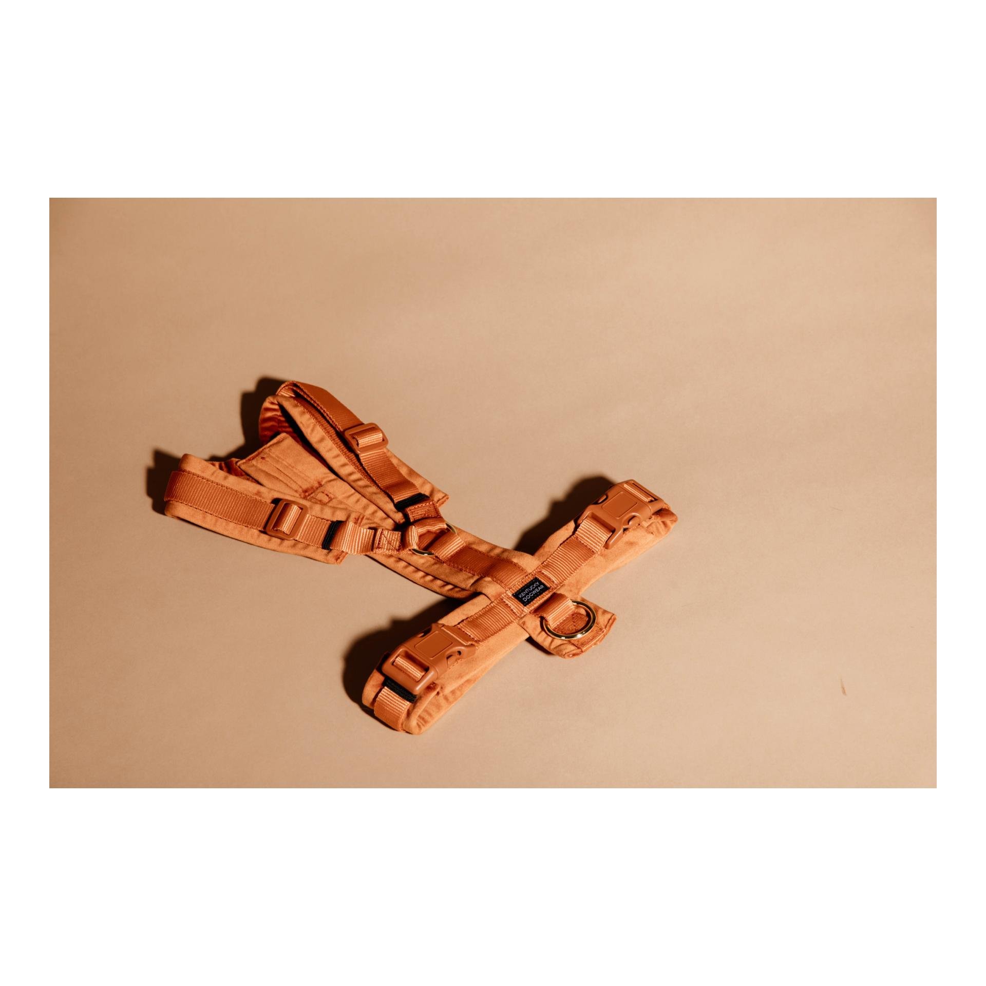 Hundegeschirr Active Velvet