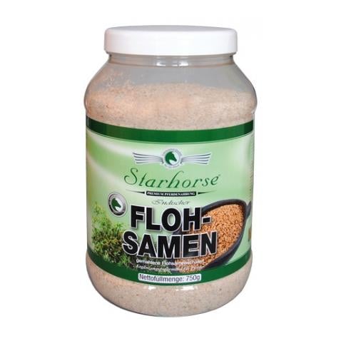 Image of Starhorse Indische Flohsamen bei Hauptner.ch