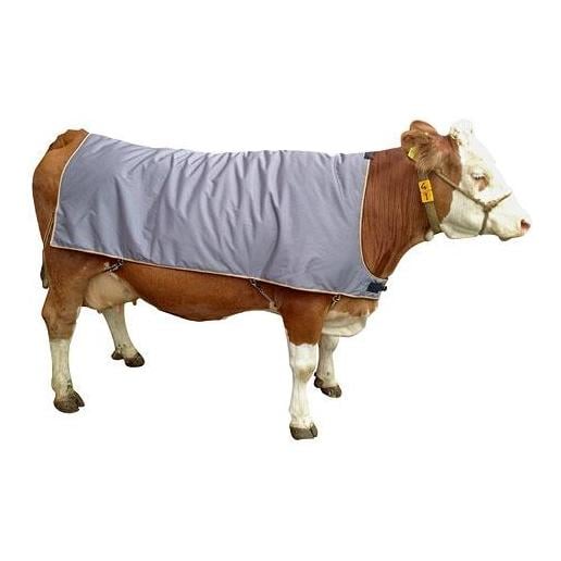 Couverture de vache pour gros bétail - pour la race tachetée et les grandes pie-noires