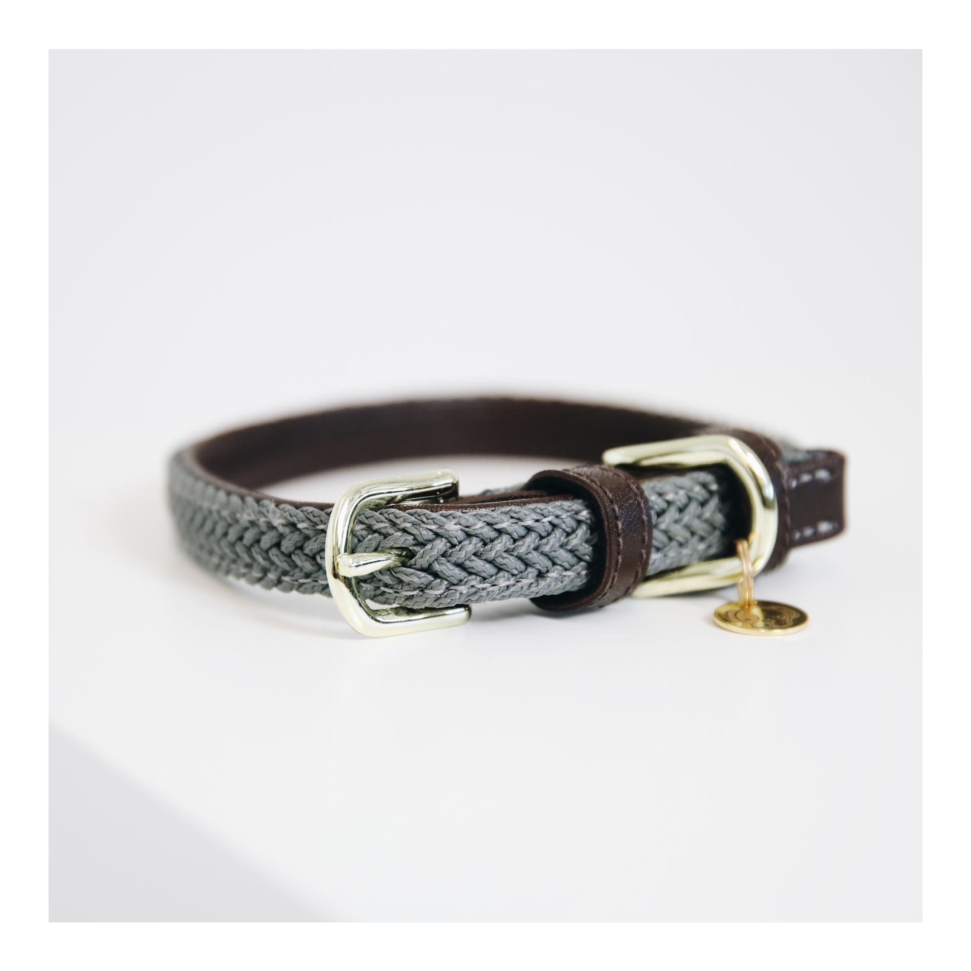 Collier de chien en nylon tressé - gris