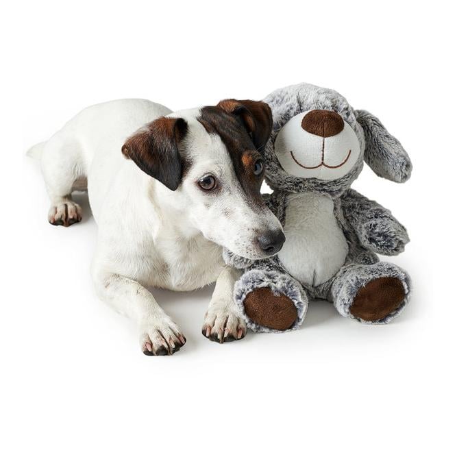 Hundespielzeug Faro - Hund