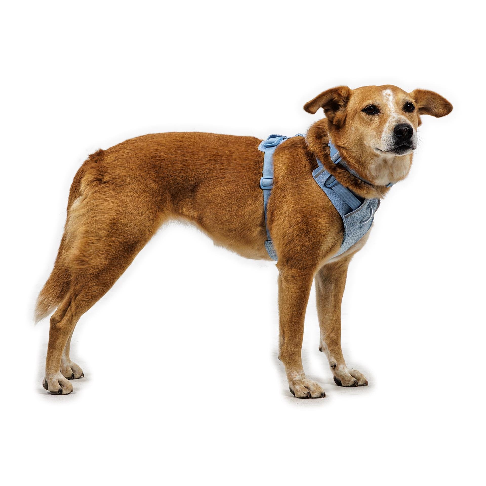 Ruffwear Front Range™ Flex Hundehalsband