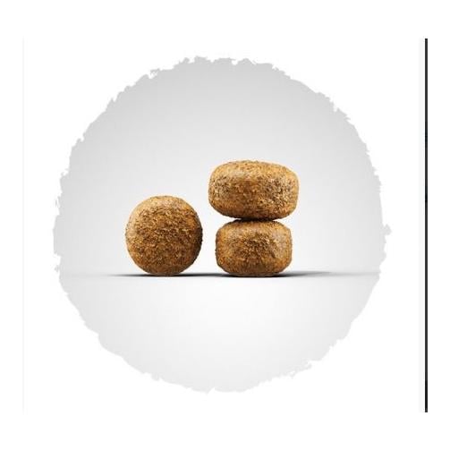 Balance Trockenfutter Light und Senior