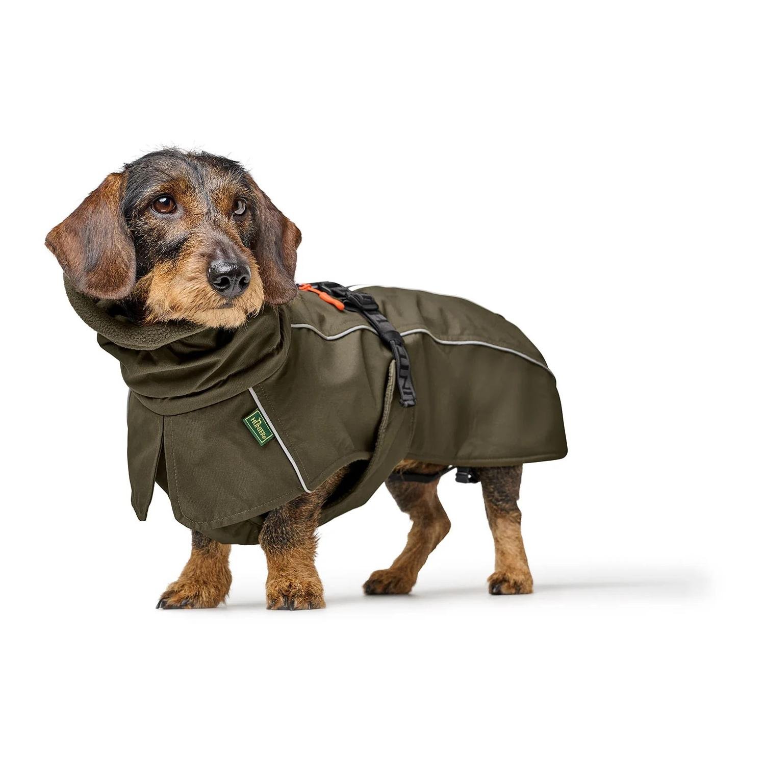 Hundemantel Paxson Dachshund