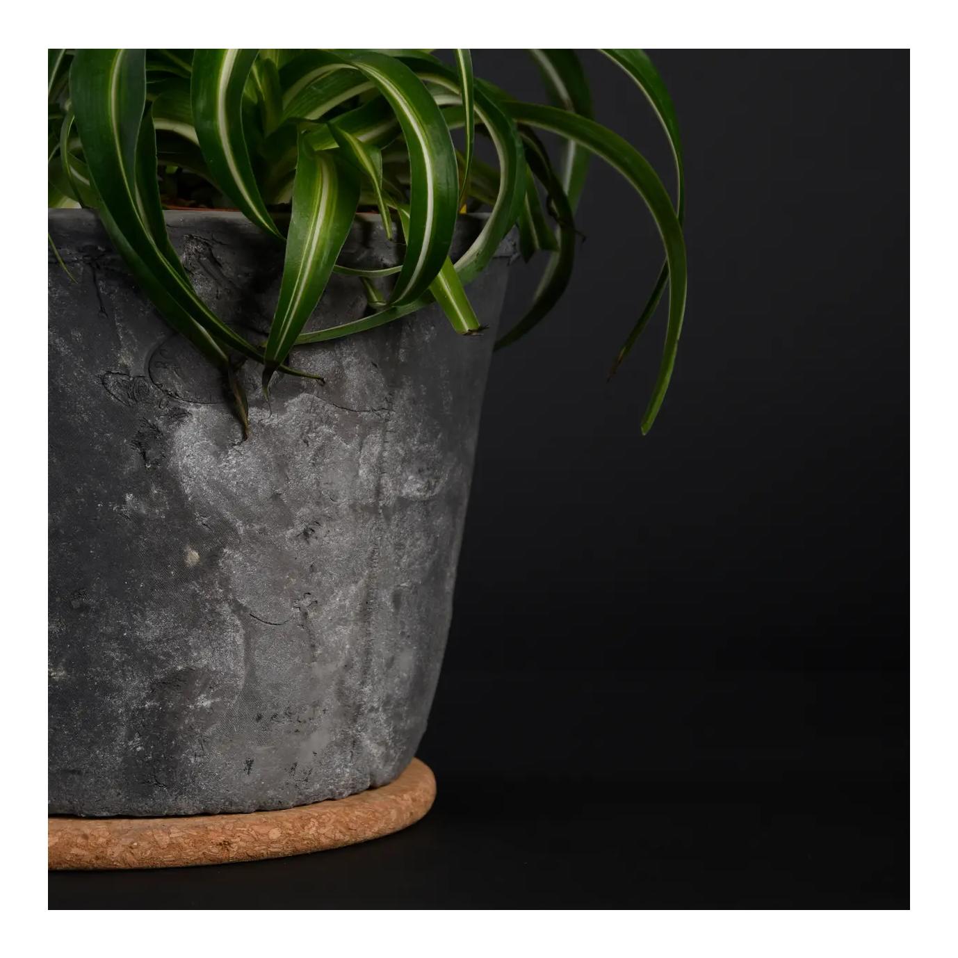 Esschert Korkuntersetzer