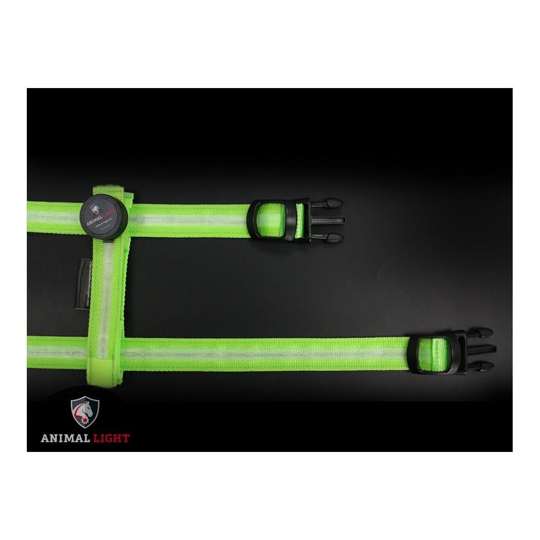 Harnais lumineux "Ninja" - rose/rose