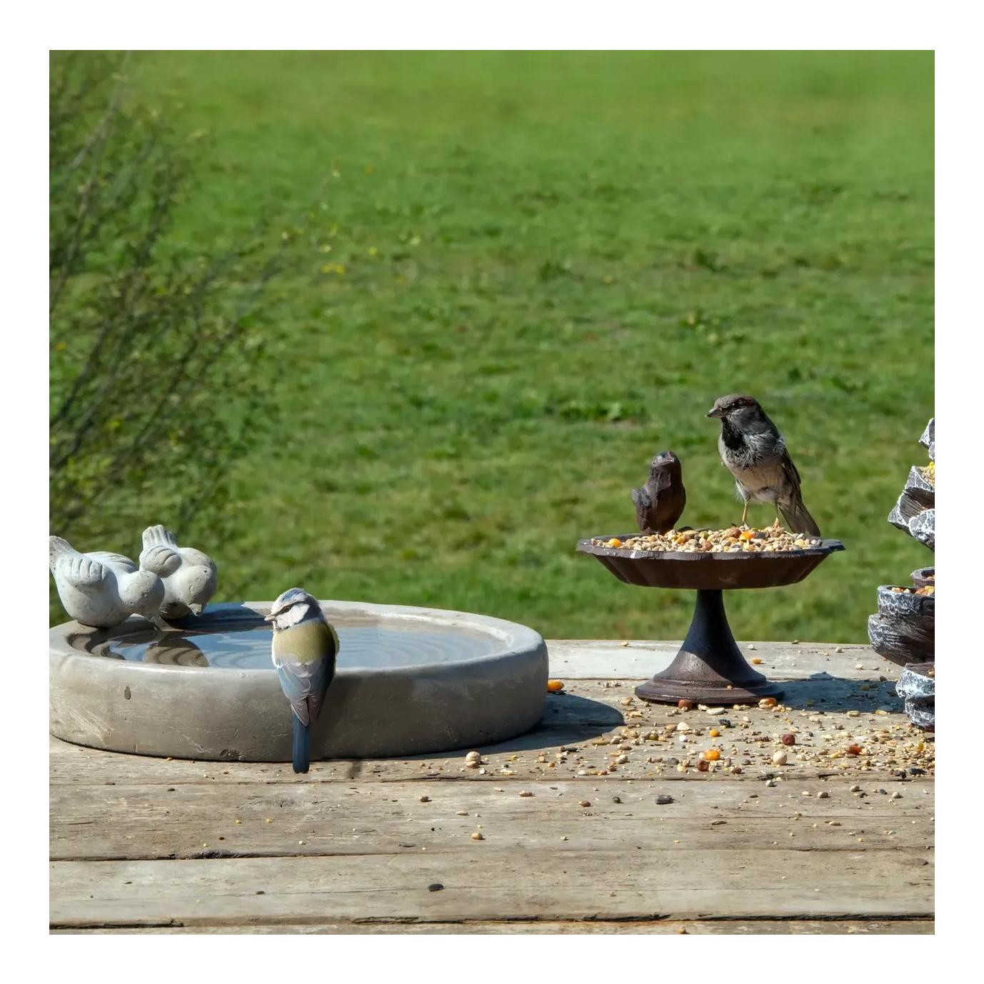Vogeltränke Beton