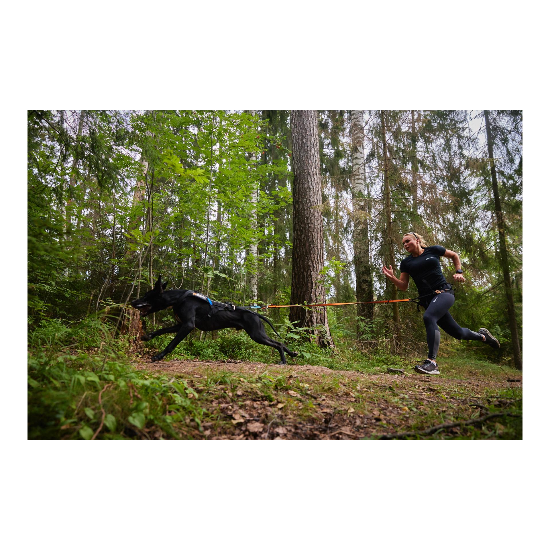 Joggingleine Bungee Leash