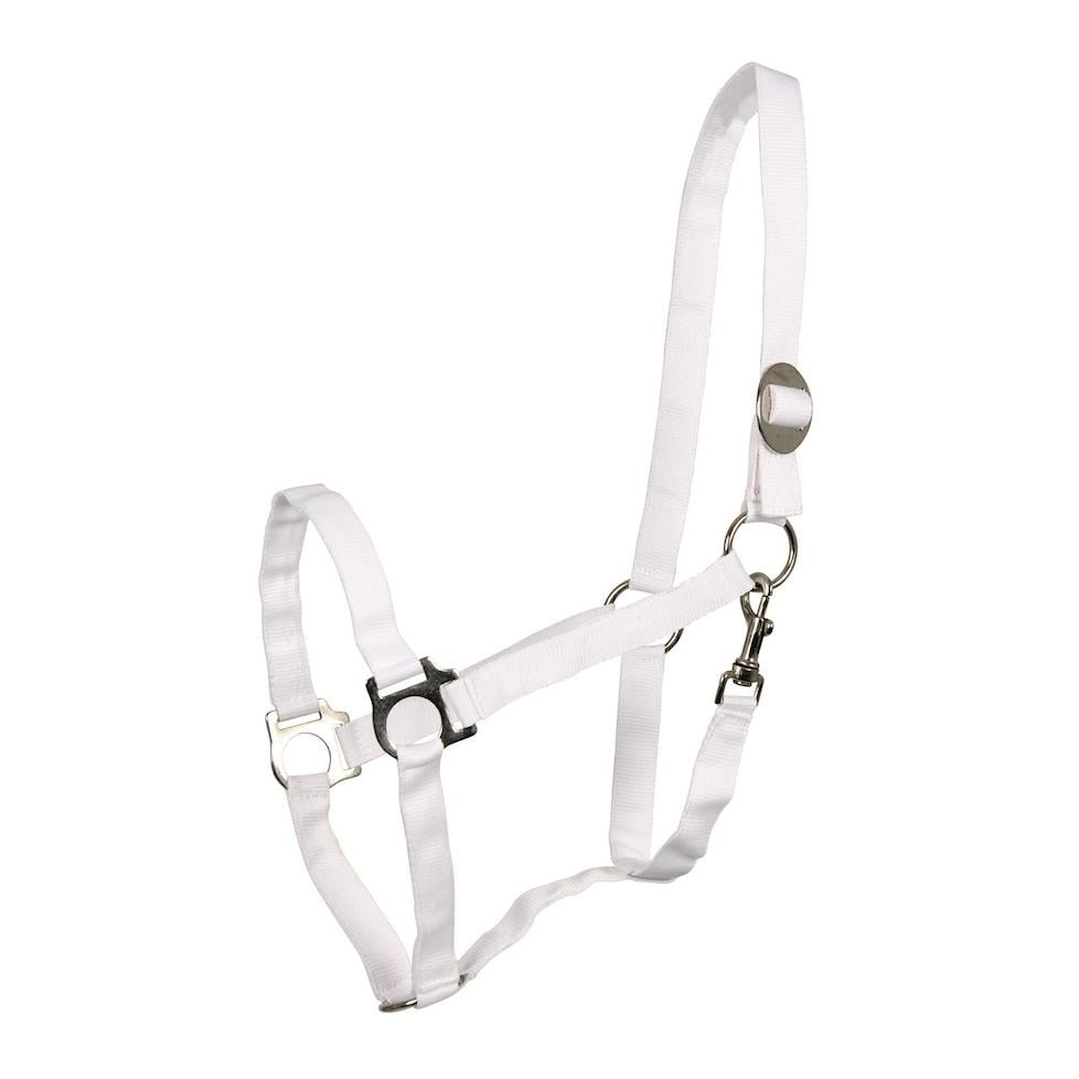 Image of Waldhausen Halfter Perlon - weiss bei Hauptner.ch