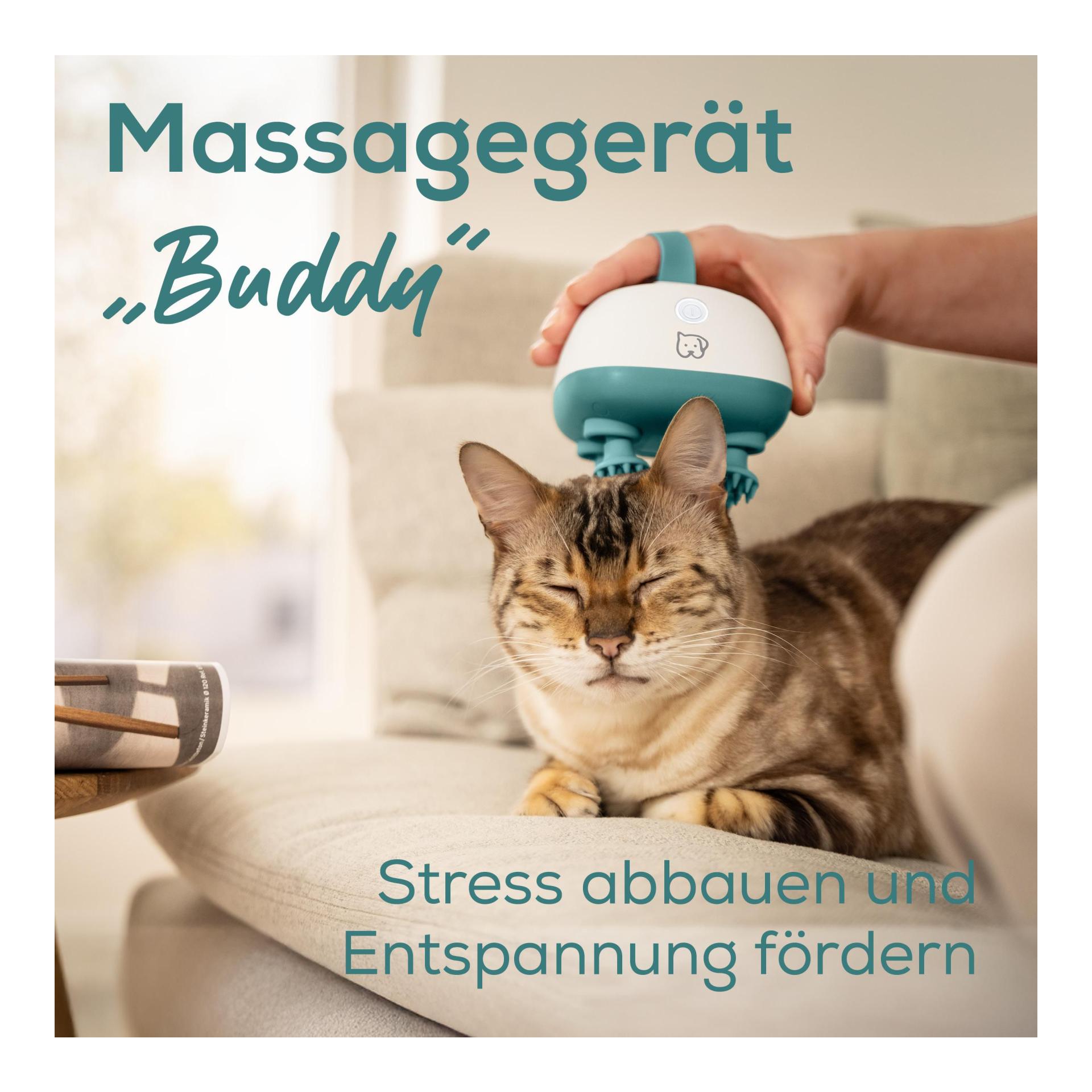 Buddy - Massagegerät