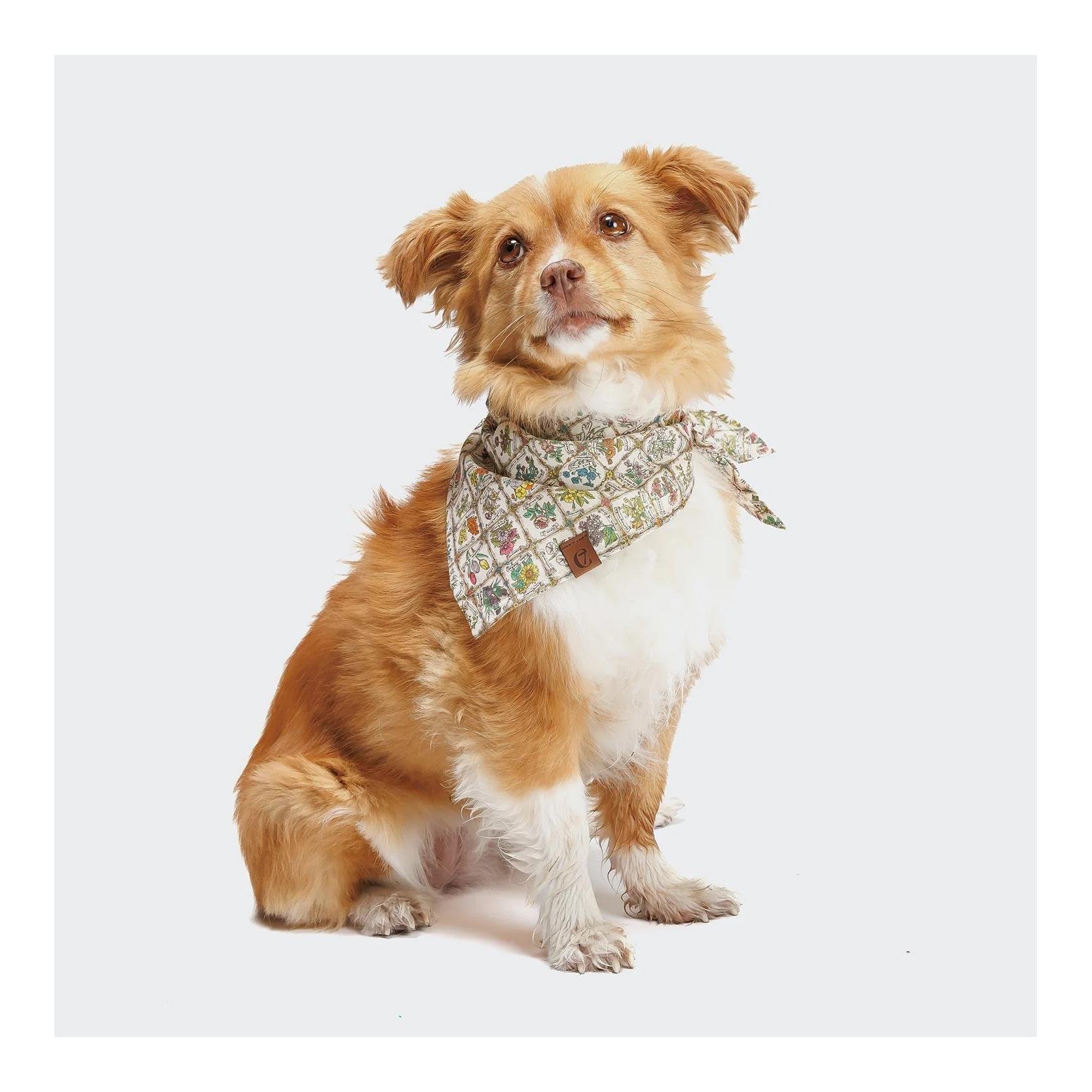 Hundehalstuch Bandana