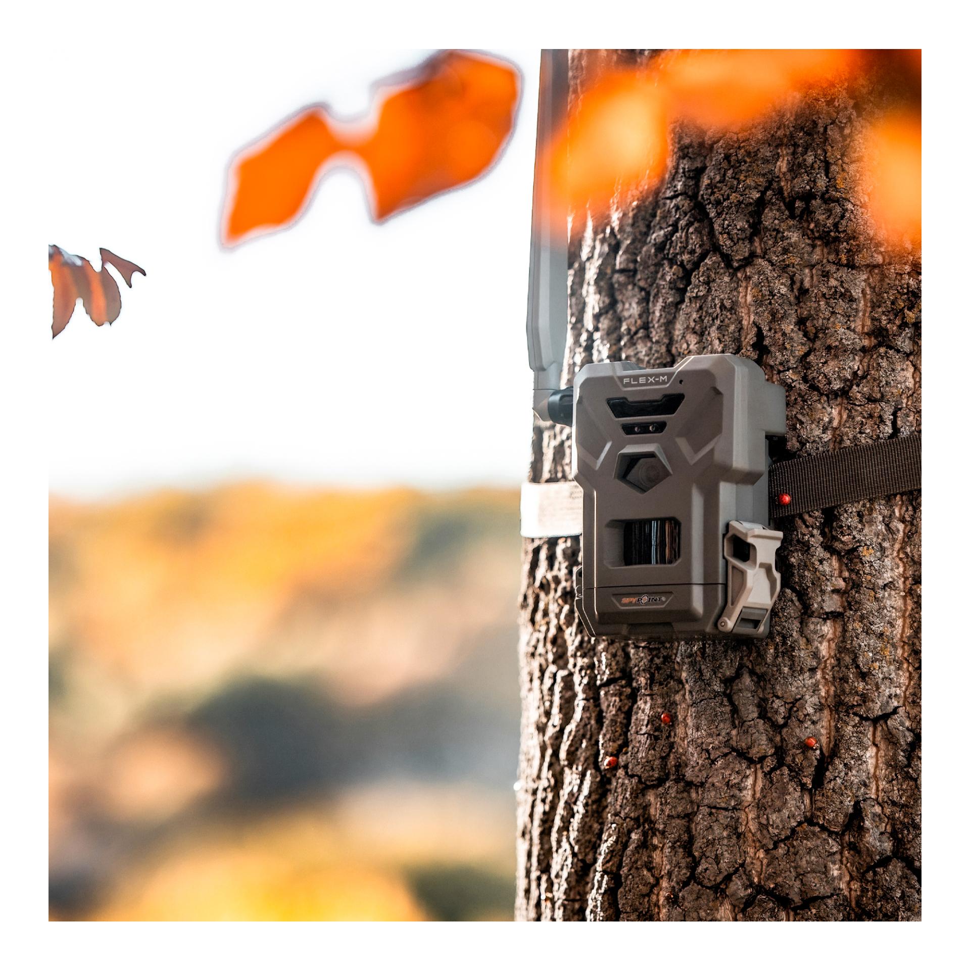 Wildkamera FLEX-M Twin Pack