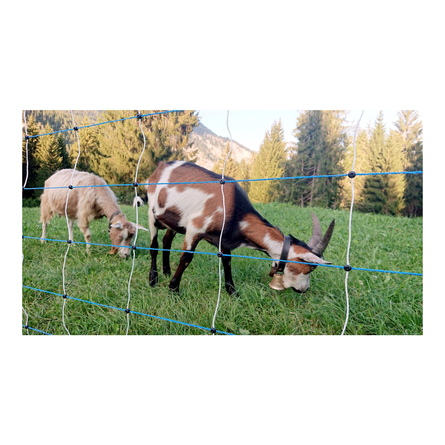 Weidenetz "FlexiNet Swiss" - Einzelspitz