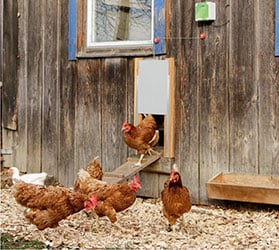 Hauptner-KAT-Pfoertner_Schieber