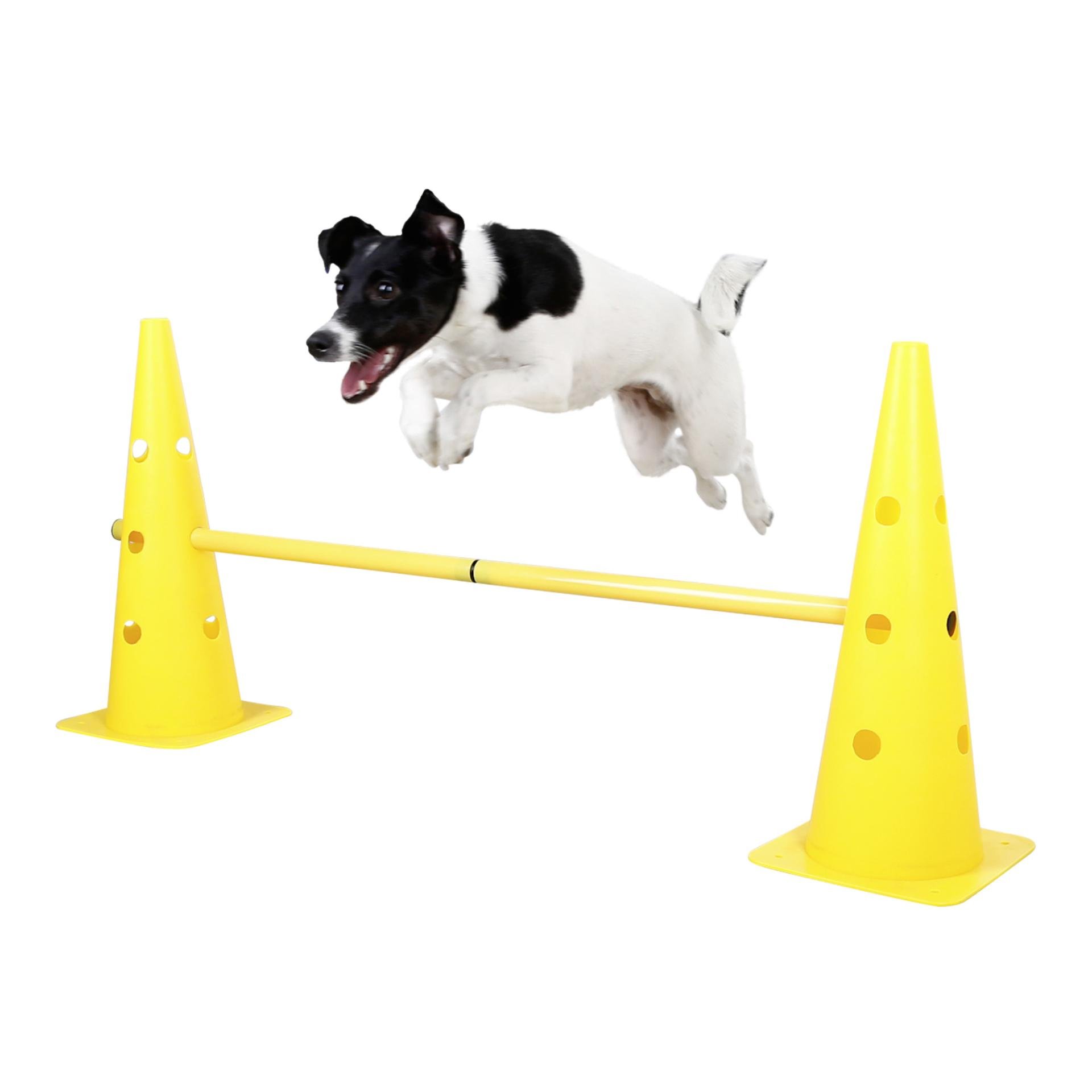 Kit de pylônes-haies Agility