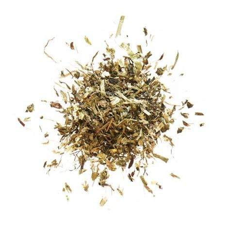 Agrobs Alimentation de base pour tortues terrestres juvéniles