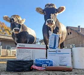 Hauptner-KAT-Klauenpflege_RInd