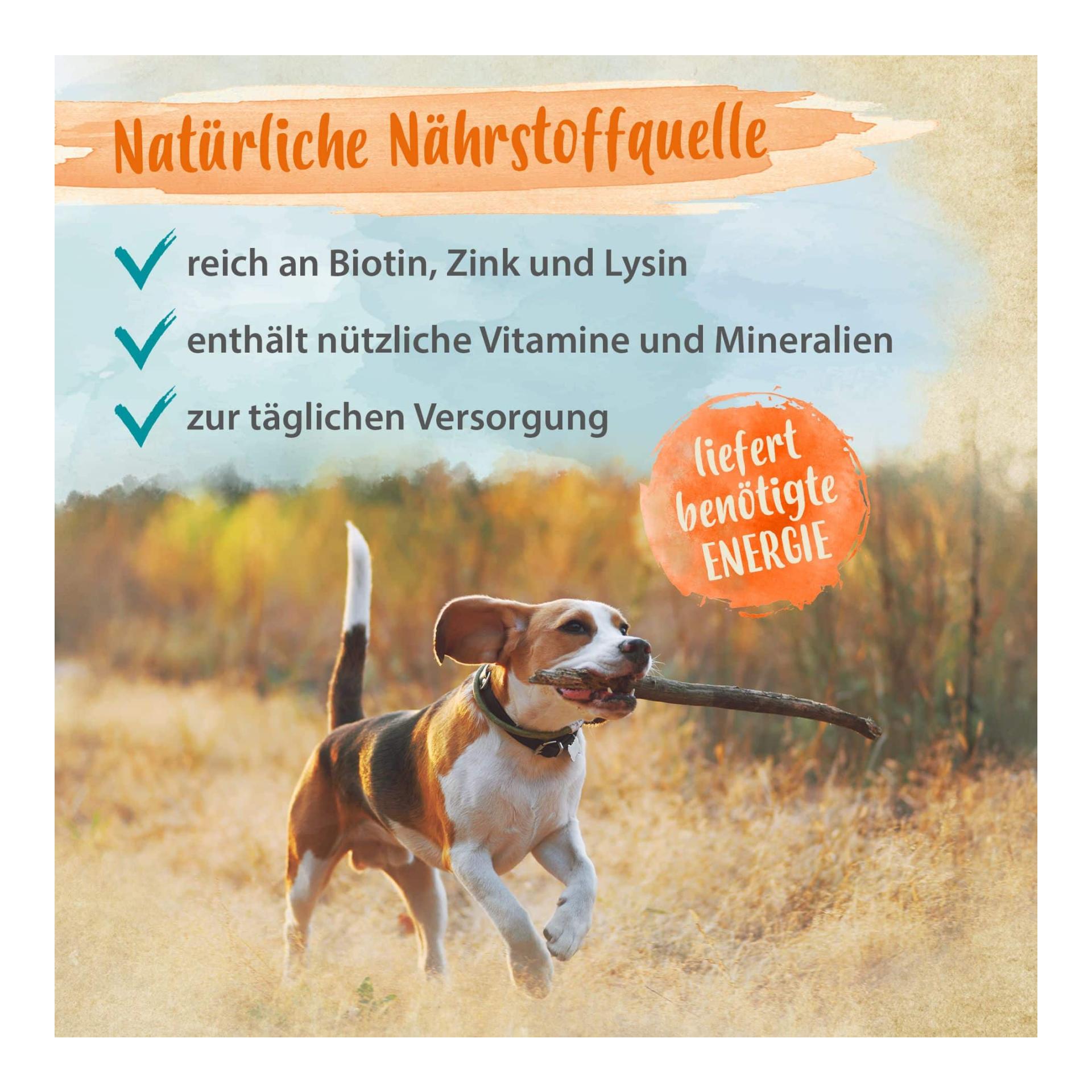 Bierhefe Tabletten - optimale Pflege für glänzendes Fell & kräftige Haut