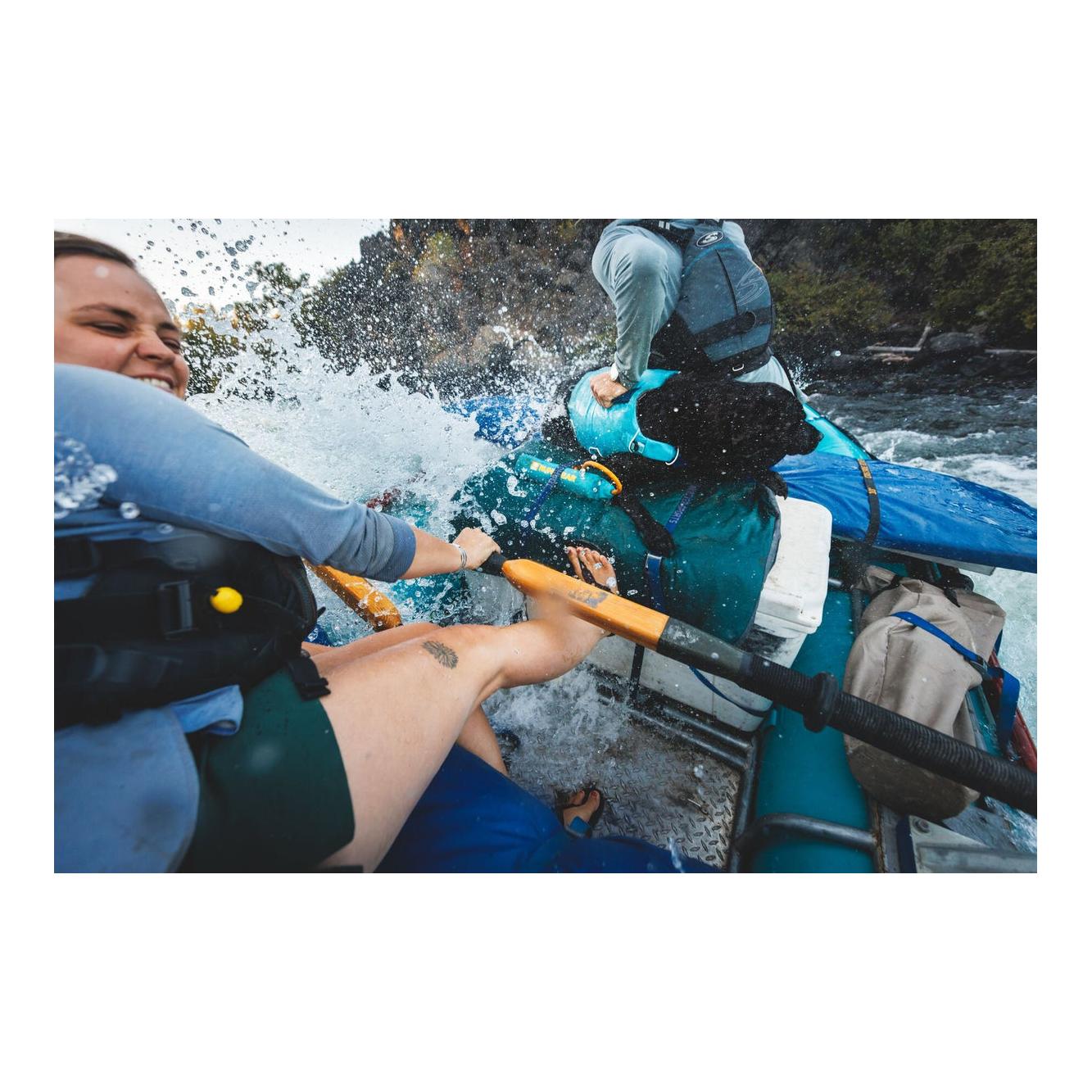 Gilet de sauvetage pour chiens Confluence