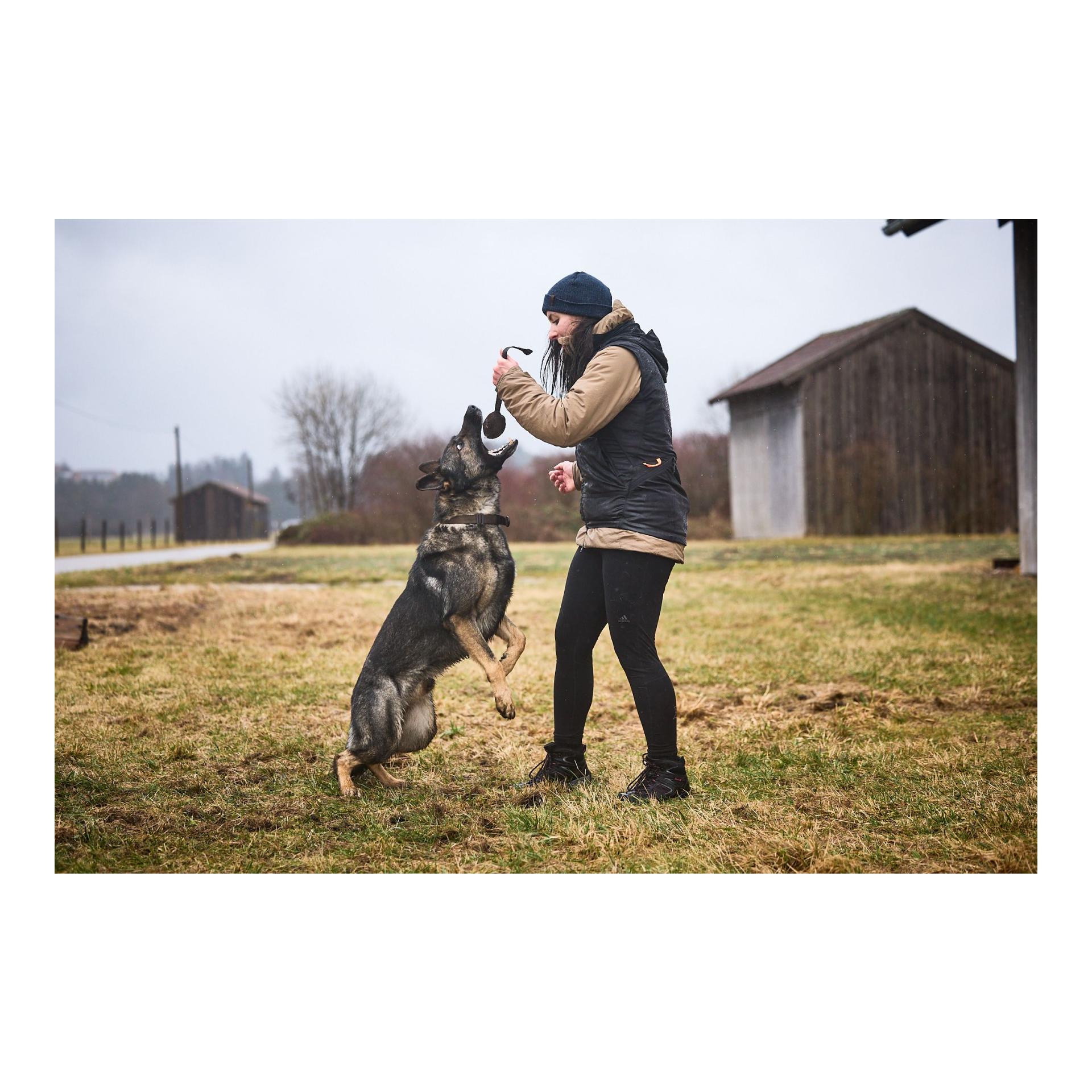 Hundetrainingsveste Obedience Vest