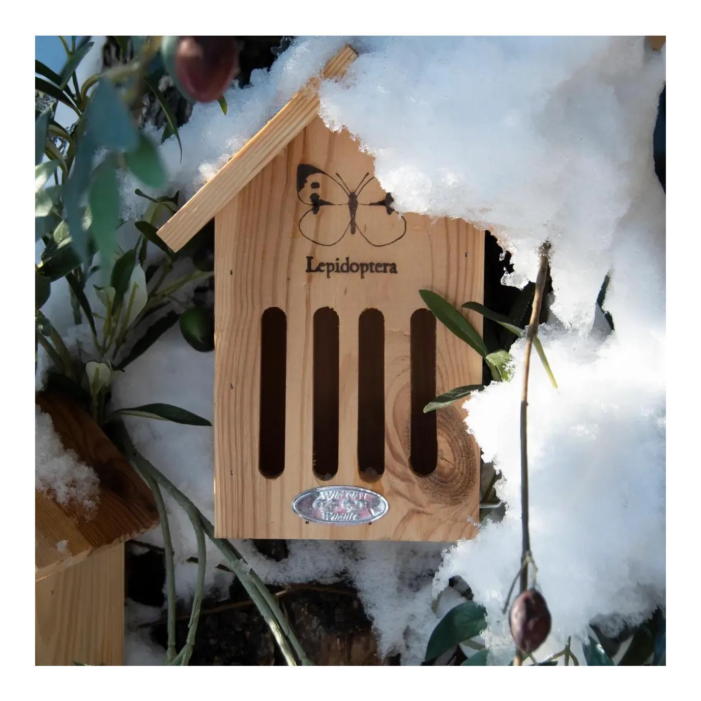 Schmetterlinghaus mit Silhouette